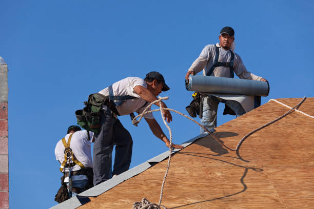 Best Residential Roofing Contractor  in Wellington, KS